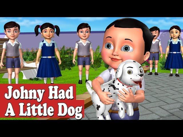 Johny had a Little Dog Nursery Rhyme - 3D Animation Nursery Rhymes and Songs for Children