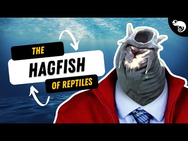 You're Basically The Hagfish of Reptiles...