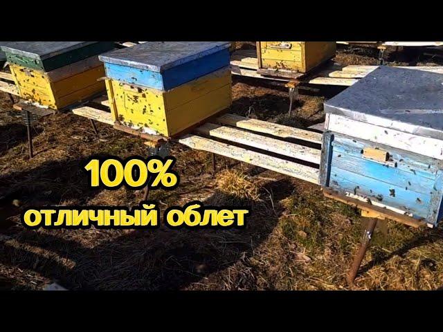 100% ЗИМОВКА. 100% отличный облет!