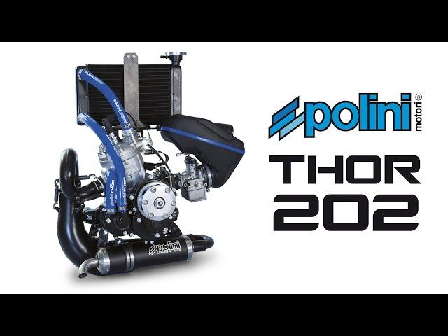 POLINI THOR 202 - ENG (sub ESP - FRA)