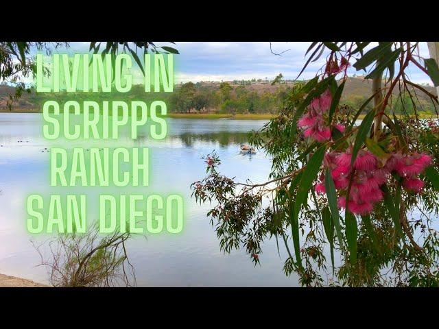 Living In Scripps Ranch San Diego