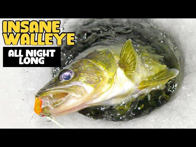 Insane Walleye Fishing All Night Long