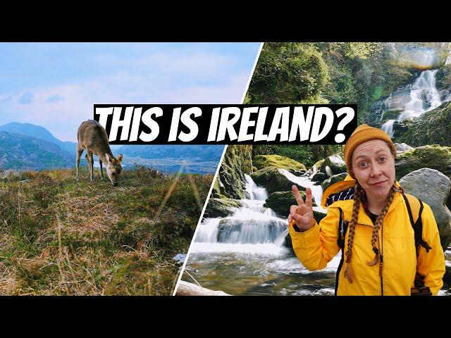 The MOST BEAUTIFUL PLACE IN IRELAND | VANLIFE in Killarney (The Ring of Kerry)