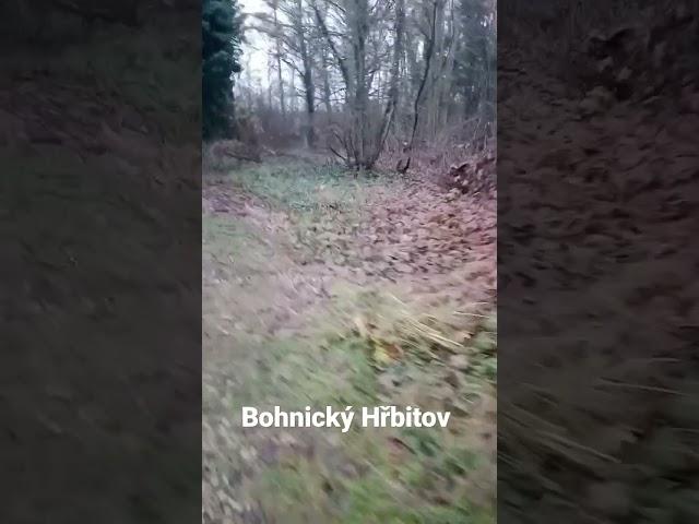Bohnický Hřbitov