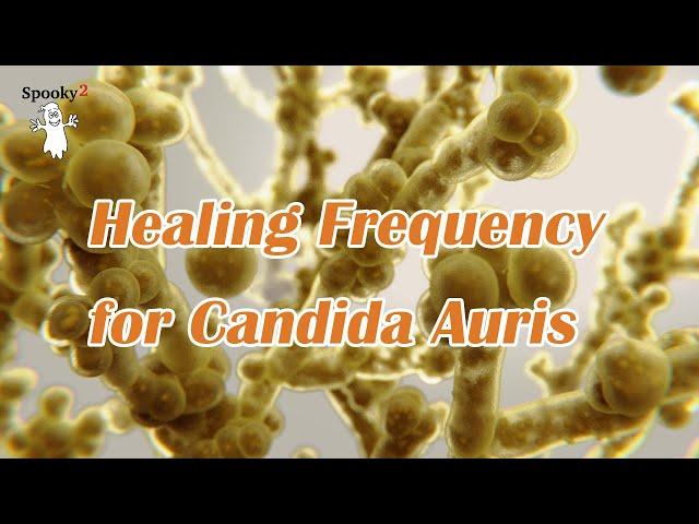 Healing Frequency for Candida Auris - Spooky2 Rife Frequencies