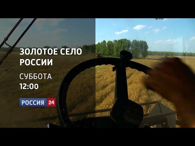 Анонс фильма "Золотое село России" о героическом селе Бражное. реж. Андрей Гришаков. Красноярск