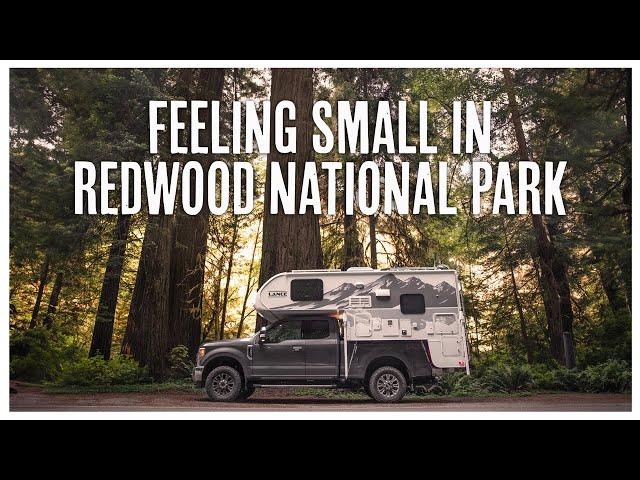 Getting Lost in Redwood National Park in our Lance 825 Truck Camper