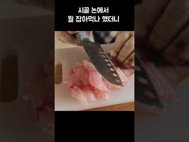 시골 논에서 뭘 잡아먹나 했더니 #골라듄다큐 #Shorts