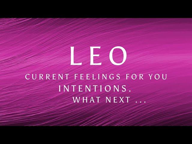LEO THIS PERSON DOESNT WANT YOU TO CALL IT QUITS ….. Oct/ Nov 2024