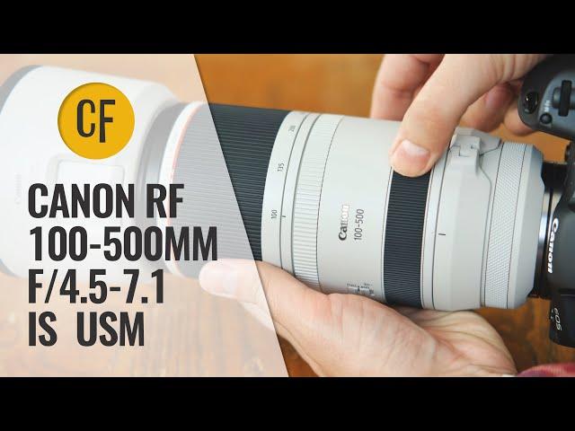 Canon RF 100-500mm f/4.5-7.1 'L' IS USM lens review with samples