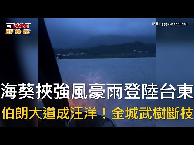 CTWANT 生活新聞 / 海葵挾強風豪雨登陸台東　伯朗大道成汪洋！金城武樹斷枝