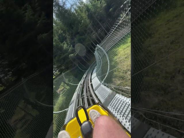 Alpine Coaster Toplita