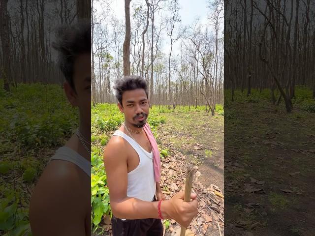 Forest part 2 #travelblog #india #pablic #vlog #minivlog #forest #shortvideo #the toton #youtube￼