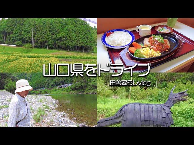 【田舎暮らし】山口県といったら山賊？ドライブしてきました！【仲良し夫婦】【山口県】