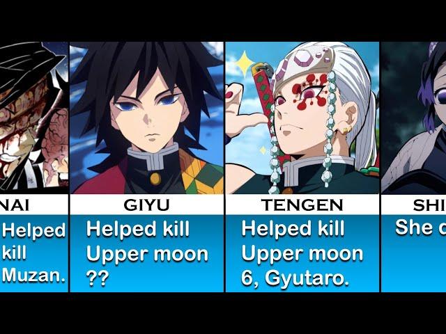 Contributions of the Hashira I The AnimeScript