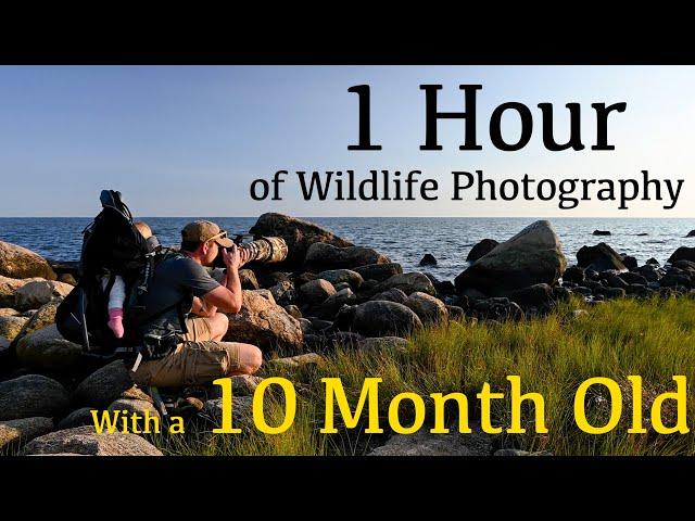 What can I Photograph in 1 Hour with my 10 Month Old? | Nikon Z9 Wildlife Photography