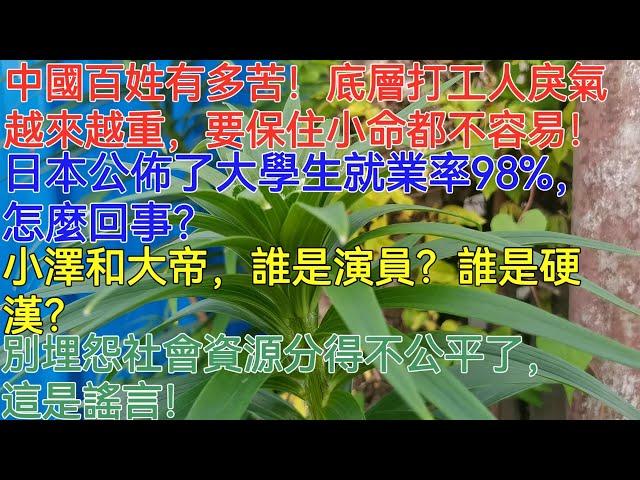 中國百姓有多苦！底層打工人戾氣越來越重，要保住小命都不容易！日本公佈了大學生就業率98%，怎麼回事？小澤和大帝，誰是演員？誰是硬漢？別埋怨社會資源分得不公平了，這是謠言！