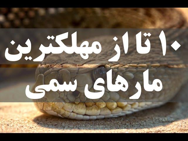 ۱۰ تا از مهلکترین مارهای سمی جهان