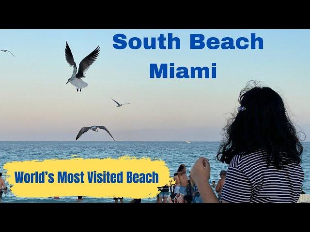 South Beach - Miami, Florida | World's Most Visited Beach I TravelFreak Videos