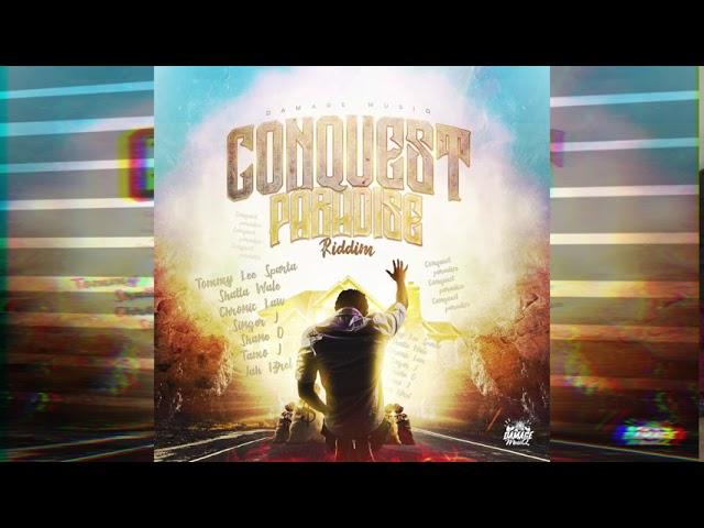 Conquest Paradise Riddim Mix (Tommy Lee, Shane O, Shatta Wale, Singer J) Damage Musiq