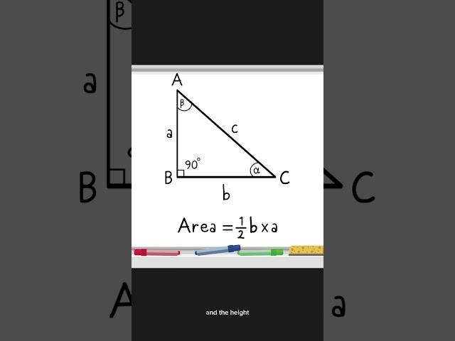 Triangles Perimeter and Area #math #matematicas #geometry #stem #learntocode