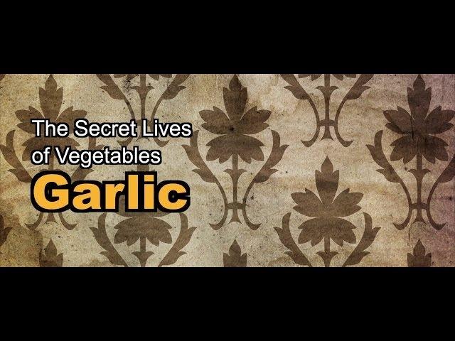 The Secret Lives of Vegetables: Garlic