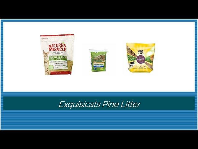 Exquisicats Pine Litter - Daring Reviews