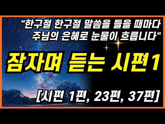 성령의 음성을 듣는 시편 낭독 3시간 #성경낭독 ㅣ핵심말씀, 성경듣기, 성경읽기, 읽어주는성경, 성경낭독, 필수 성경암송구절