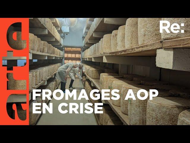 Les fromages AOP dans la tourmente | ARTE Regards