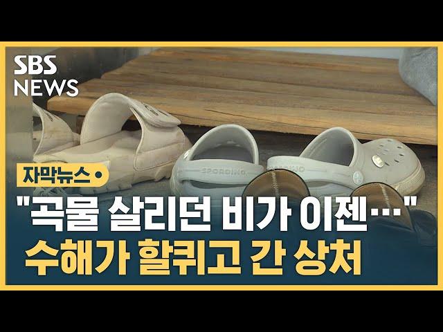 "아직도 생생해요"…수해에 트라우마 호소하는 이재민들 (자막뉴스) / SBS