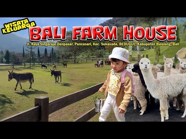 BALI FARM HOUSE || Family Tourism in Bedugul Feels Like Switzerland in Europe || Latest & Viral!!!