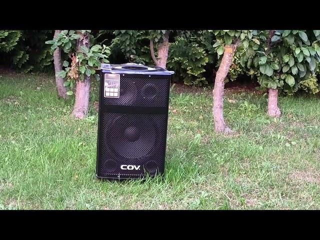 JBL Patybox 310 240W  &  COV 612 100W Полное превосходство COV