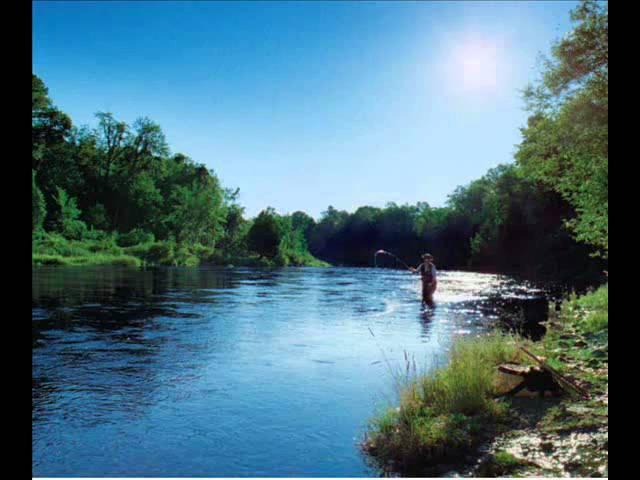 Michigan Fishing: Gone Fishin' | Pure Michigan