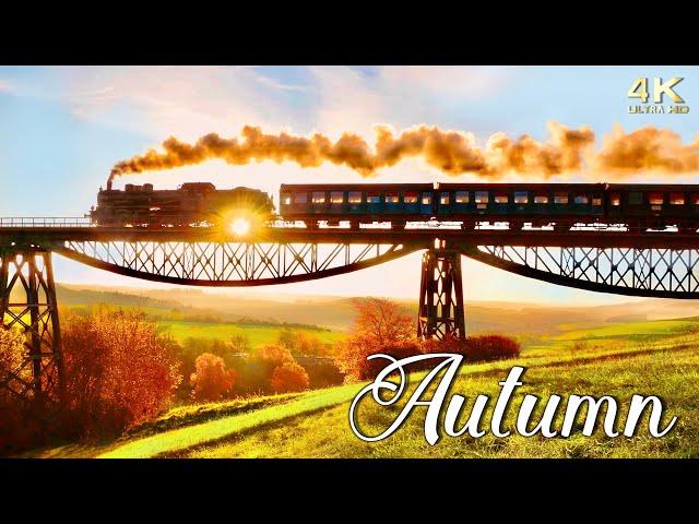 Peak Fall Foliage of Autumn in New England, Europe & N. America ~ Colorful Autumn Foliage 4K Drone