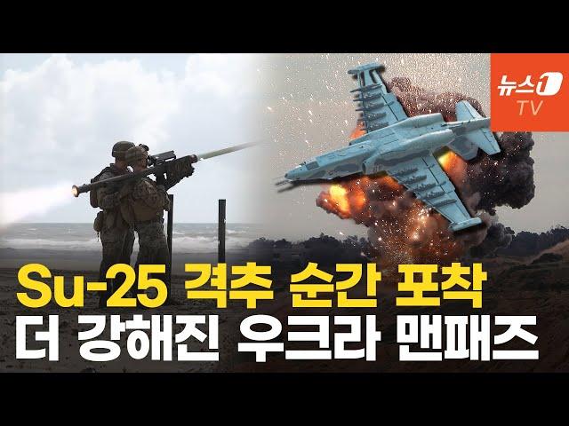 숲속에 숨어 전투기만 골라잡는 맨패즈…우크라, Su-25 또 격추