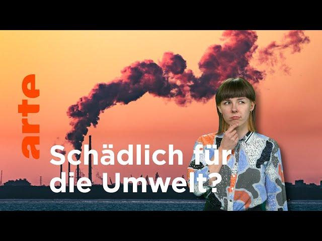 Welche Rohstoffe schaden der Umwelt am meisten? | Facts For Future | ARTE