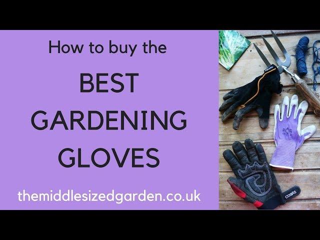 How to choose the best gardening gloves