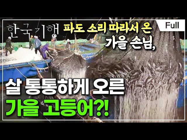 [Full] 한국기행 - 그리워라 가을 소리 제3부 가을은 고등어다