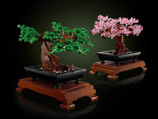 Lego Bonsai Baum Set 10281 - Bauabschnitt 1