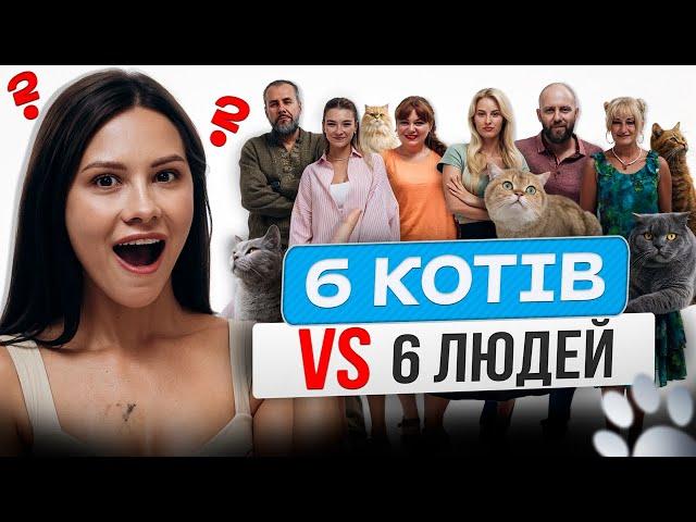 Кому належить цей котик?  | ІДЕНТИФІКАЦІЯ #30 | Валерія Андріївна (ПЕРЕПРОШУЮ)