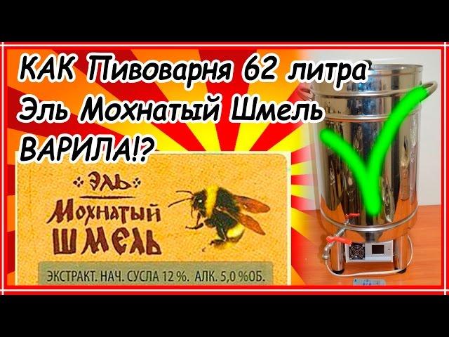 Как сварить пиво Эль мохнатый шмель дома