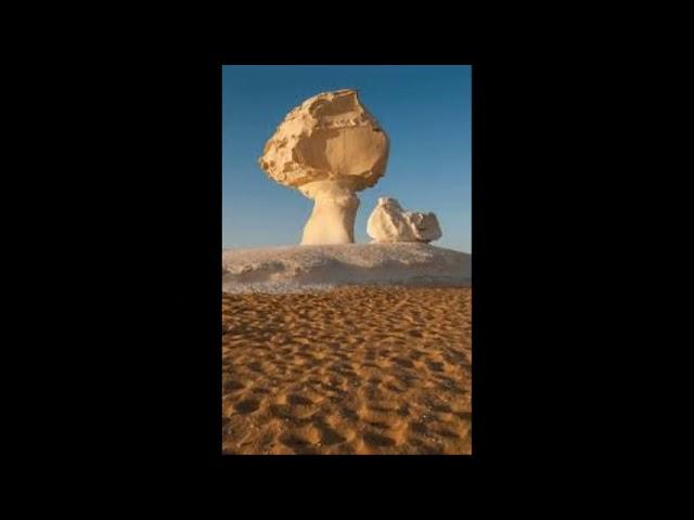 safari white desert  mp4