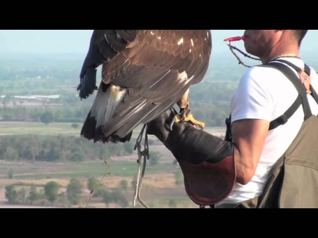 Golden Eagle Training, 5th Week Practicing