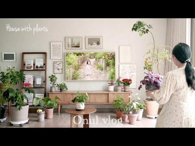 Relaxing Plant Tour  My houseplant collection 2023