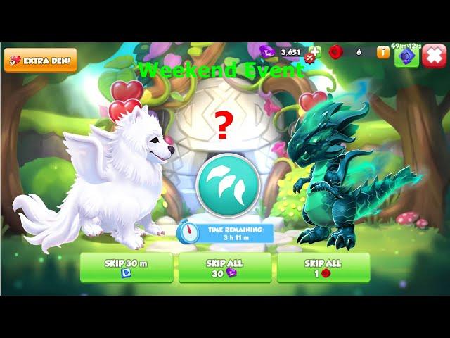 Weekend Event Animals Special Treasure Hunt-Dragon Mania Legends | Begin Tier 8 Solo | DML