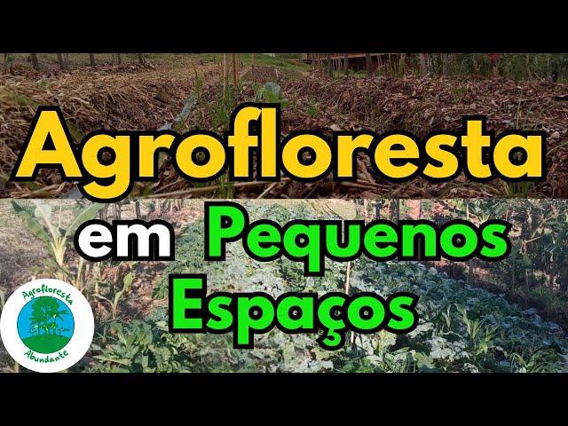 Agroforestry in Small Spaces - Agroforestry in Small Properties - Agroforestry in the Backyard