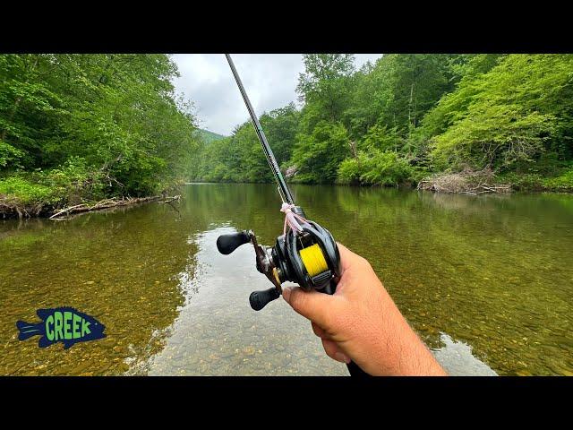 Amazing Hidden Mountain creek fishing
