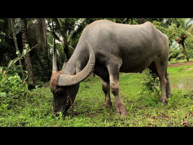 Top 10 Best Places to Visit in Vietnam - Travel Vietnam Video-  Smile Travel