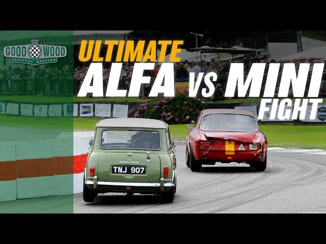 Ridiculous Mini v Alfa GTA track battle at Goodwood