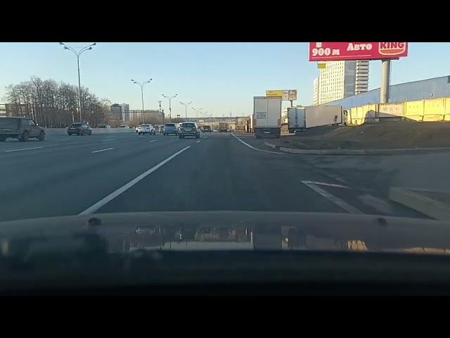 Слепошар на дороге .